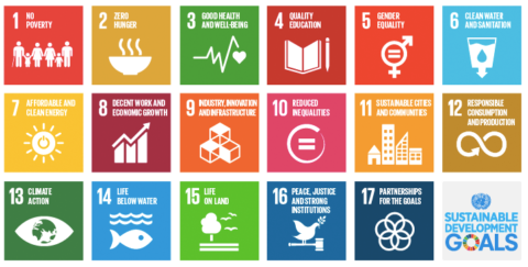 United Nations adopt Sustainable Development Goals